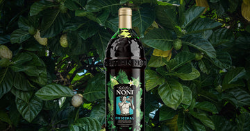 Bottle of Tahitian Noni ORIGINAL noni juice