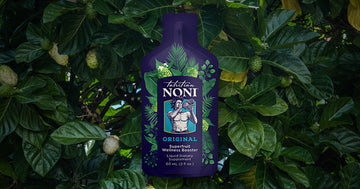 Noni juice single-serve sachets