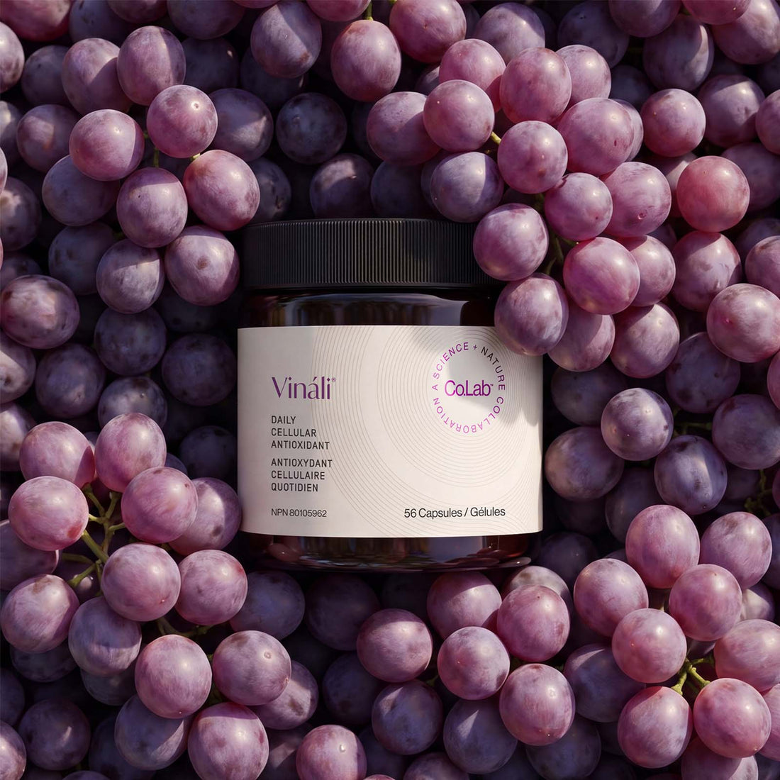 Vináli® Daily Cellular Antioxidant