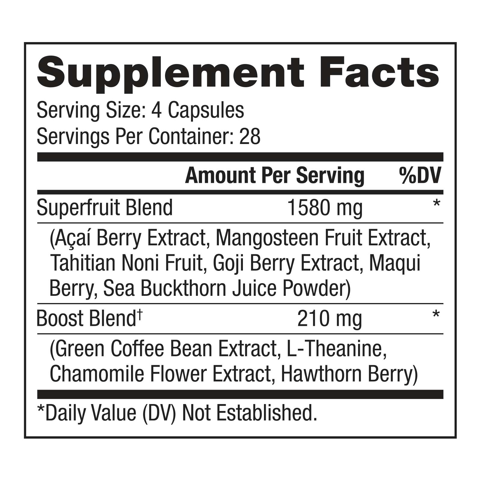 Daily Wellness Essentials